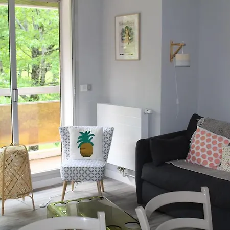 Appartamento Camelias 2 Terrasses Et Parking Centre *